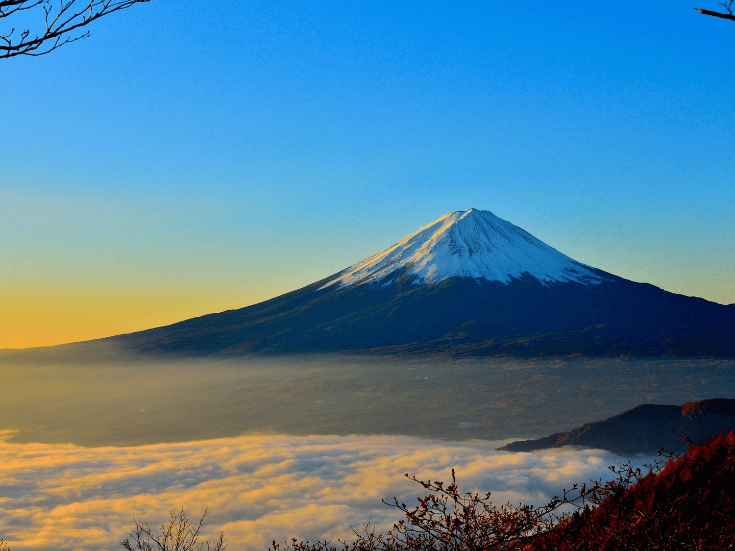 Beste Reisezeit Tokio