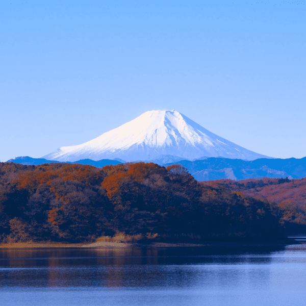 Tokio Tagesausflüge Japan